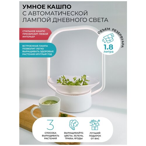   -   /   /   Vegebox V-Basket     ,   6419 