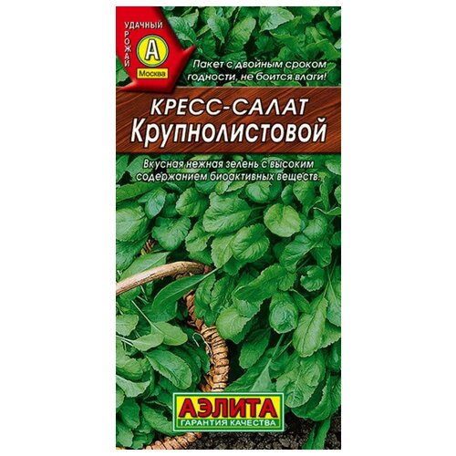 ���� �����-����� �������������� (1�) - ������ ������, ������ �� 44 ���