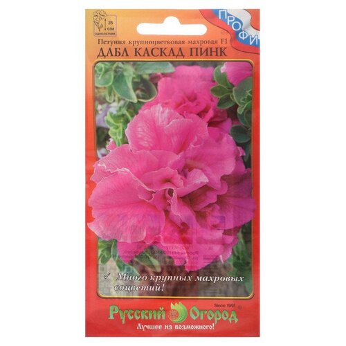 ���� ������ ������ ������� 