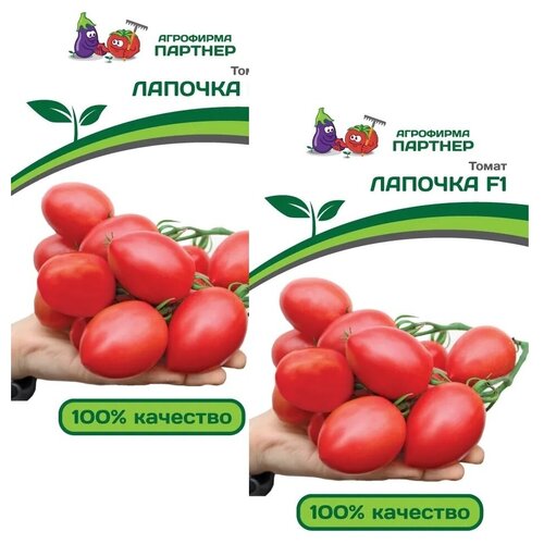     F1 / / 2   10 ,   480 