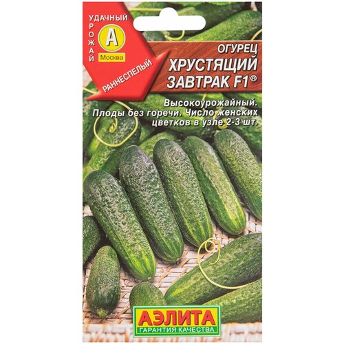 ���� ������ ��������� ������� F1 10 ��., ������ �� 56 ���