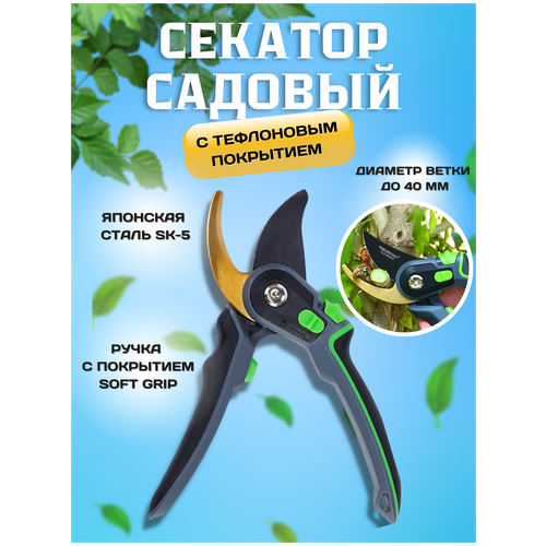 ���� �������, ������� ���������������� �������� ��� �������� � ������, ������ �� 1544 ���