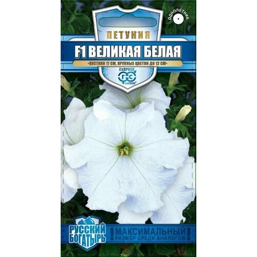      F1  7  17 ()  ,   70 