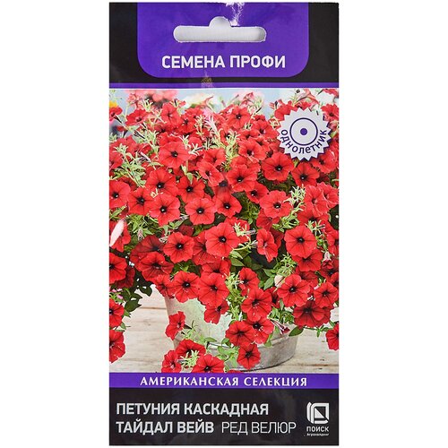 ���� ������ ������� ��������� 