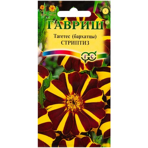 ���� ������ ������ �������� ����������� �������� (�������) 0.3 �, ������ �� 253 ���