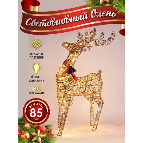 ���� ����� ���������� ������������ ���������� 80 �� �������, ������ �� 7900 ���