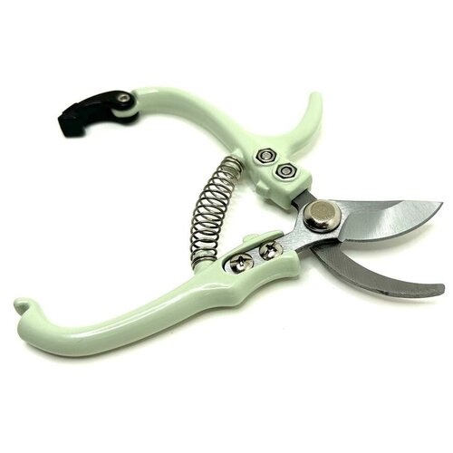 ���� ������� ������� , ���� ������� , ������������������ ������� ����������, ������� ��������, ������ �� 498 ���