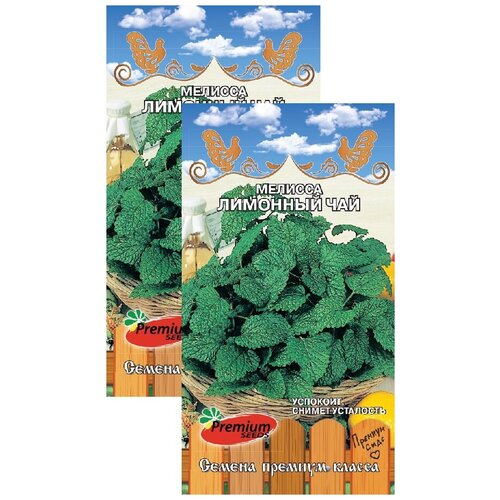 ���� ������� �������� ��� (0,1 �), 2 ������, ������ �� 249 ���