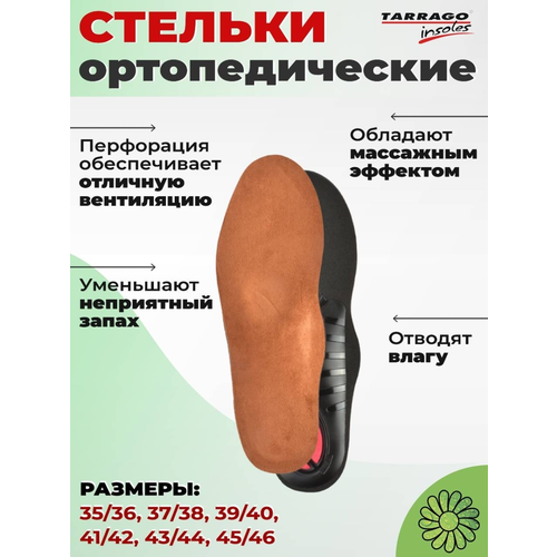 ���� ������� ������������� Daily Support, ����������/������, �.41-42, ������ �� 426 ���