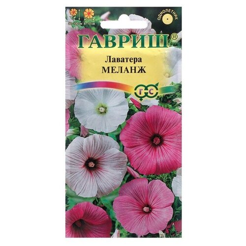 ���� ������ ������ �������� 