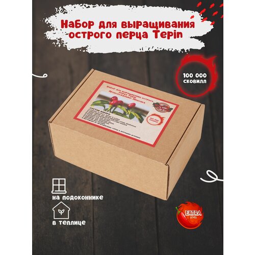 ���� ����� ��� ����������� ������� ����� ����� � �������� ��������, ���� ������ ��� �������, ������ �� 800 ���