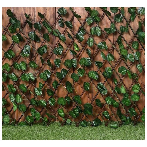  Greengo  , 120 ? 70 ,  , Greengo,   801 