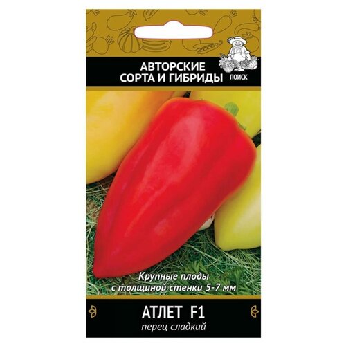 ���� ������ ����� ������� 