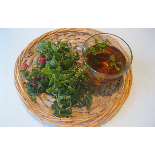 ���� �������� ����, 250 ��, �������� ������� ������, ������ �� 603 ���