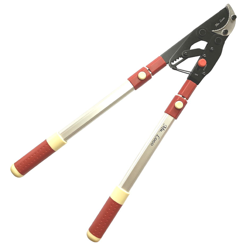 ���� ��������  Mr.Logo 4650 970, ������ �� 6840 ���