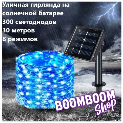 ���� ������������ �������� ���� ����� �� ��������� ������� 300 ���� 30 ������ 8 �������, ������ �� 1000 ���