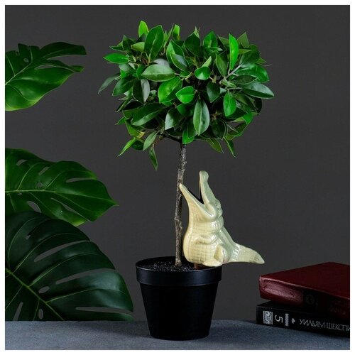 ���� ��������� ��� ��������� � ������� ������ 