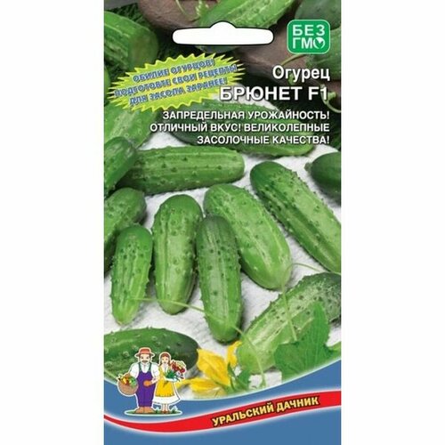 ���� ������ ������ ������ F1 ��. 10��, ������ �� 42 ���