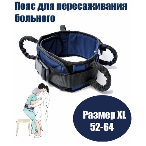 ���� ���� ��� ������������� �������� � ��������� � �������� ��� ���������, ������ XL (52-64)/ ����-��������� ��� ���������, ������ �� 4350 ���