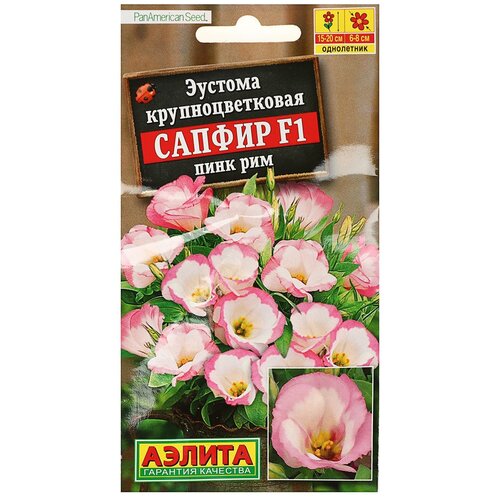 ���� ������ ��������� ������ ������� ������ F1 ���� ��� 5 ��, ������ �� 169 ���