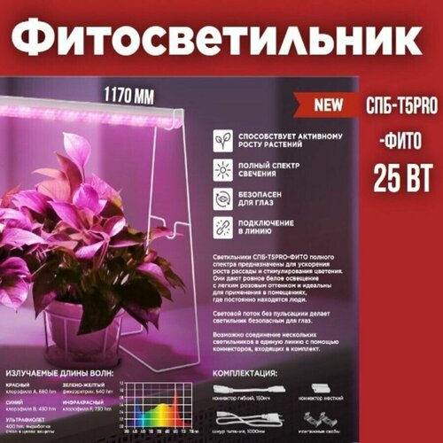    -5PRO-   25 230B 1170 IN HOME   -     , -, 