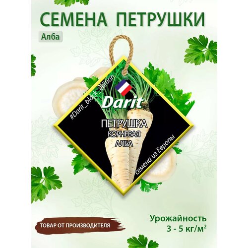 ���� ������ �������� �������� ���� Darit Black Edition 8 �, ������ �� 262 ���