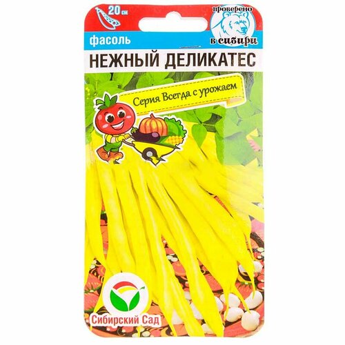 ���� ������ ������ ������ ��������� 5� ������ �������� (��������� ���), ������ �� 55 ���