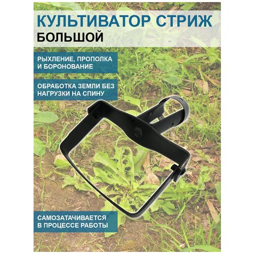 ���� ����������� ��� ����������� ����� ������� 12 �� ��� �������, ������ �� 562 ���