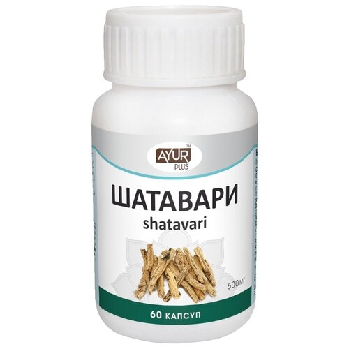 ���� ��������, 60 ������, ������ �� 548 ���