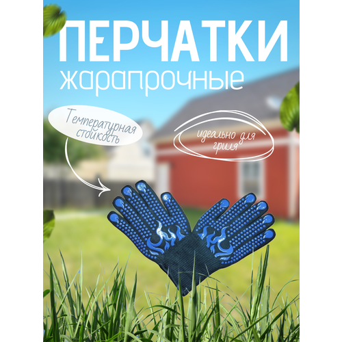 ���� ����������� �������� Blue Fire Flame �� ������� ��� ����� � ������ ��� �� ����������� ������� ����������, �����-�����, ������ �� 990 ���