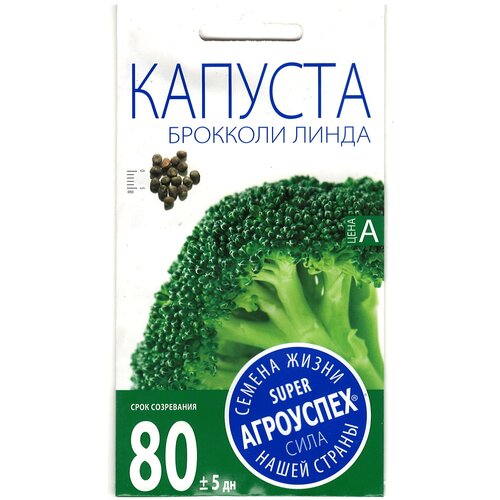 ���� ������ ��������� 