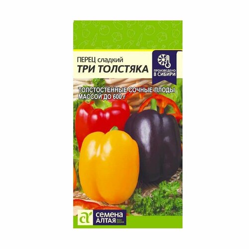 ���� ������ ����� 