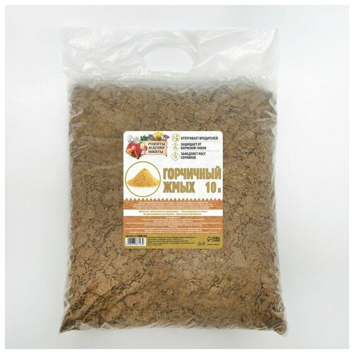 ���� ��������� ���� 