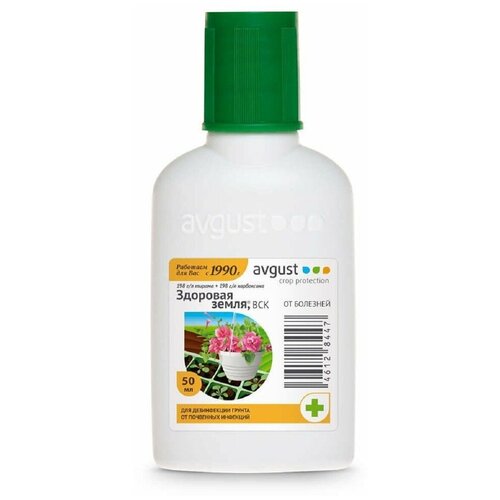 ���� Avgust �������� ��� ����������� ������ �� ��������� �������� �������� �����, 50 ��, ������ �� 369 ���