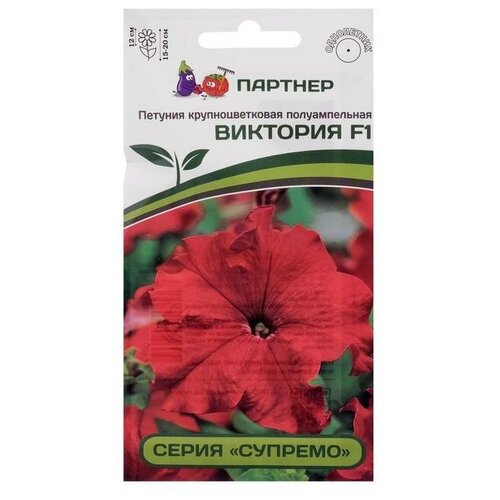 ���� ������ ������ ������� '��������', F1, �������������, �������, 5 ��, ������ �� 419 ���