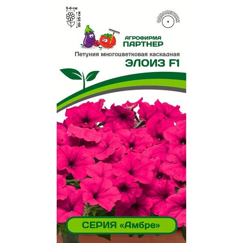 ���� ������ ������� �������������� ��������� 