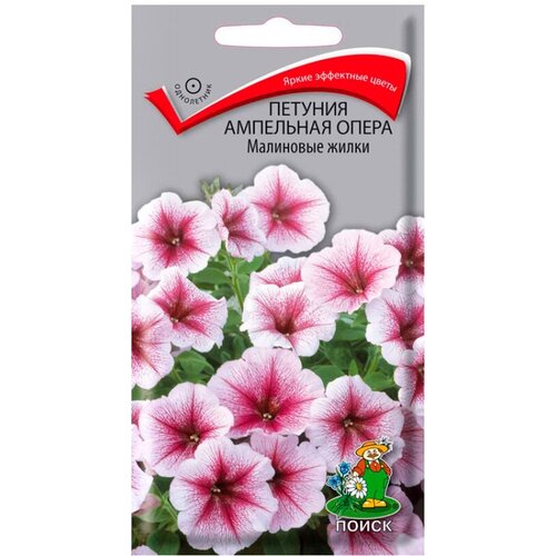 ���� ������ ����� ������� ��������� ����� ��������� ����� 5 ��., ������ �� 389 ���