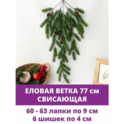 ���� ������ ����� ��� ������, ������������ ������ ���������, 77 ��, 1 ��, ������ �� 690 ���