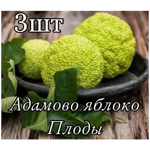 ���� ������� ������� ������, ������ �� 780 ���