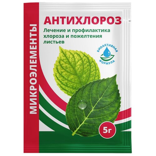 ���� ��������� ��������� ����������, 5 �, ������ �� 285 ���