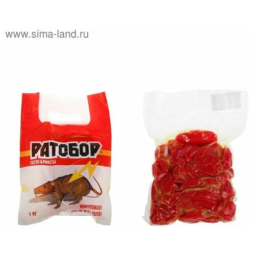 ���� �����-������� �� �������� 