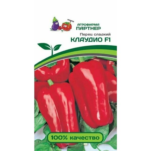 ���� ����� ������� ������ ������� ������ ������� (1 ��������-5 �� �����), ������ �� 428 ���