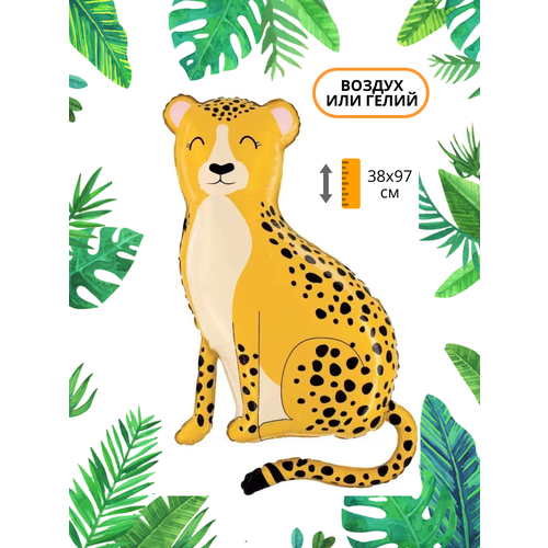 ���� ��������� ��� �������������� ������ ������, ������ �� 327 ���