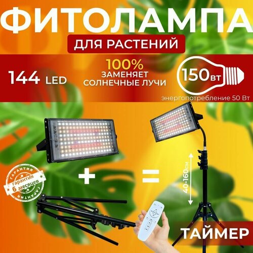 ���� ��������� ��� ����������� �������� ������� ������ ������, �������������� ������������, ����� ��������� ��� ������ �� �������, ������ ����� ��, ������ �� 4500 ���