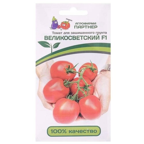 ���� ������ ����� 