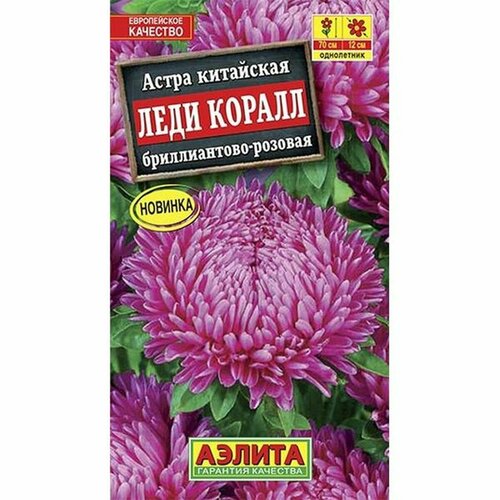 ���� ������. ����� 