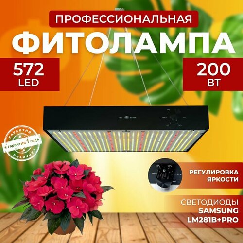 ���� ��������� ��� ����������� �������� ������� ������ ������, ���������������� �������������� ������������ Quantum board, ����� ��������� ��� ������ � �������� 200 ����, ������ �� 15000 ���