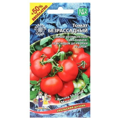 ���� ������ ����� 