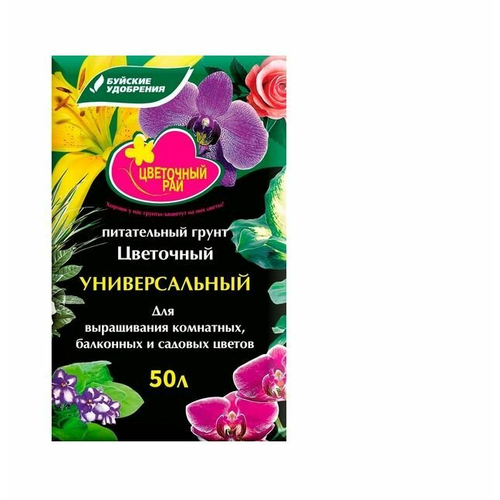          ,    , 50 , 24 ,   2311 