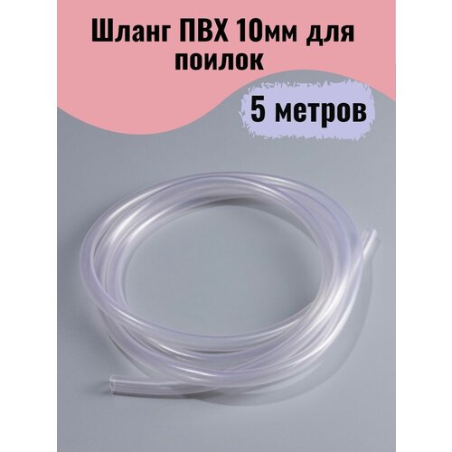 ���� ����� ��� 10�� � 5 ����� ������ ��� ��� ������ ����, ������ �� 537 ���